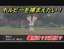 ポケモン剣盾　ホルビーを捕まえる方法！オススメの場所は？天気は？ポケモン図鑑コンプへの道！　【ポケモンソード・シールド】