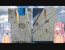 琴葉姉妹と楽しく釣っておいしく食べて　～その５　晩秋の落ちギス狙い～