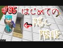 ドキッ！初心者だらけのマインクラフト【2人実況】part35
