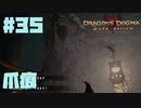 仕事辞めたので黒呪島生活。#35【ドラゴンズドグマダークアリズン】【DDDA】