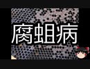 【ゆっくり朗読】ゆっくりさんと不思議な病気 その306