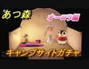 あつまれどうぶつの森　住民厳選方法　キャンプサイトガチャ　オーロラ編　【あつ森】