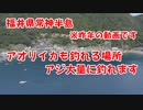 【釣り動画】常神半島はアジが大量にいます！アジ釣り放題！アオリイカをエギングで挑戦！