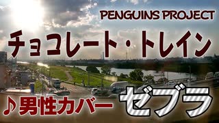 【ゼブラ】チョコレート・トレイン - PENGUINS PROJECT【歌ってみた】