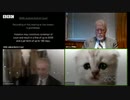 「自分に笑うしかない」、リモート裁判を「猫姿」で続行
