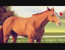RSHR：紫の贈物！一族の栄光を取り戻す競馬の海外ゲーム＃１２