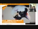 危険な枠チンなど　/ 2021/02/11/