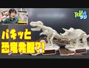 【キャラパキ発掘恐竜チョココラボアイテム】パキパキ割って組み立てる！？プラパキットを組み立ててみた！【恐竜骨格】※チョコレートではありません