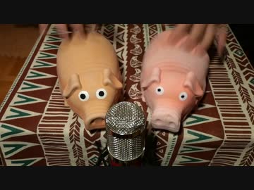 【ブタのおもちゃで】テレキャスタービーボーイ(long ver.) / すりぃ feat.鏡音レン【叩いてみた】