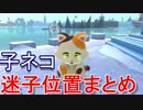 スーパーマリオ  フューリーワールド　迷子の子ネコちゃん　攻略動画