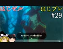 【ゆっくり実況】はじめてのゼルダはじめてのブレワイ part29【ゼルダの伝説ブレスオブザワイルド】