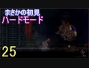 ♪２５【Vigil】初見ハードで実況プレイ