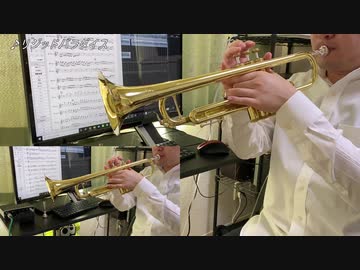 【リジッドパラダイス】東方神霊廟3面の曲をトランペットで吹いてみた【素敵な墓場で暮しましょ】