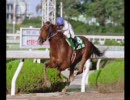 97年度　中央競馬馬主CM