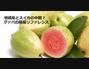 【スパイスを知ろう！】グァバを知ろう！【part74】
