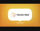 Texan Red Barbecue Charcoal Starter - Grill Store