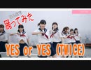 YES or YES (TWICE(トゥワイス)　皆で踊ってみた