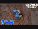 【実況】昔に見た覚えはあるけど倒し方は覚えてない中ボス #23【ゼルダの伝説 夢をみる島】