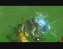 依頼を受けて、ニルヴァー君を遠くに運んでから話しかけてみた