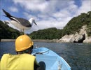 旅の記憶
