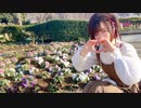 【羊眠めこた】ハロー、ミスターチョコレート　踊ってみた【バレンタイン】