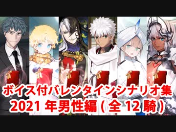 【ボイス・差分あり】【FGO】バレンタインイベント ミニシナリオまとめ 男性編(2021年新規・全12騎)【Fate/Grand Order】