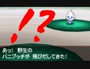【実況】ニワカ度96％の俺がポケモンブラックを初プレイ part29