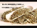 【スパイスを知ろう！】マテを知ろう！【part75】