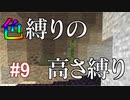 【Minecraft】色縛りの高さ縛り【Part 9】