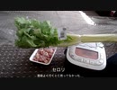 【人生初】セロリ食べてみた
