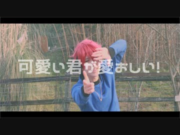 人気の 可愛い君が愛おしい 動画 28本 ニコニコ動画