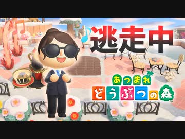 【あつ森】逃走中を森でやってみた バレンタイン編 inずず★島【実況】あつまれどうぶつの森