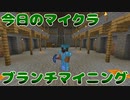 【今日のマインクラフト】～ブランチマイニング～【#33】