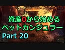 [Grim_Dawn] 資産0から始めるペットカンジュラー (ゆっくり実況) Part20