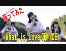 制服で　What is Love(TWICE)　踊ってみた