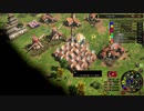 【実況】ちょっくら国盗り合戦してくる【AOEⅢ】part9
