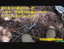 （とある鼻くくりのテスト回ｗ）変態忍者の、有害鳥獣駆除従事活動記・その１４５