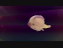 セミの一生