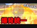 【実況】ポケモン剣盾 命を燃やすぜ!!爆発統一パーティでたわむれる