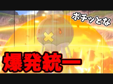 【実況】ポケモン剣盾 命を燃やすぜ!!爆発統一パーティでたわむれる