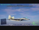 Project Wingman リボン付きの死神+エースコンバットBGMでプレイ M11