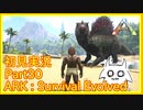 【ARK】知識ゼロからのサバイバルpart30【初見実況】