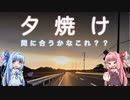「あおい〜夕焼け見にいくでー！」【Voiceroid車載】