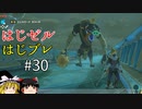 【ゆっくり実況】はじめてのゼルダはじめてのブレワイ part30【ゼルダの伝説ブレスオブザワイルド】