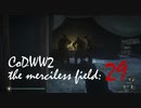 CoDWWⅡ the merciless field: 29