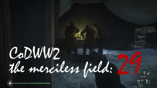 CoDWWⅡ the merciless field: 29