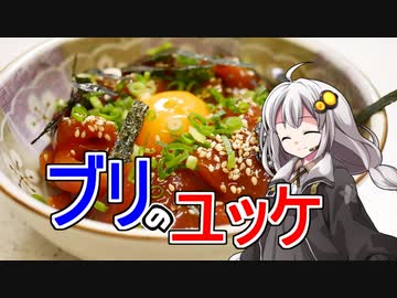 釣れなくても料理！ブリのカマ焼きとユッケ！【VOICEROIDキッチン】