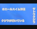 驚き！水中クジラの鳴き声