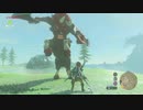 【ゆっくり実況プレイ】旅歩き part35【ゼルダの伝説ブレスオブザワイルド】
