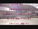 今日は皆さん写っていませんでした　速報　後の動画に編集出来ました　カメラの撮影速度間違って早送りになっていました